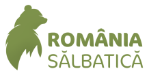 Romania Salbatica