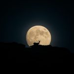 Yhabril Moro - Mother moon