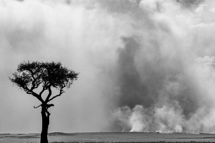 Above the burning world - Srikanth Santhinathan (India)