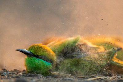 Dusty bath - Sarthak Agrawal (India)