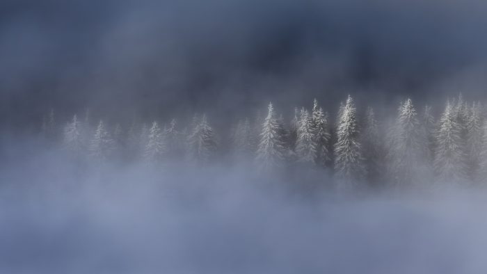 2nd place: Fading Silhouettes - Rareș Macarie (România)